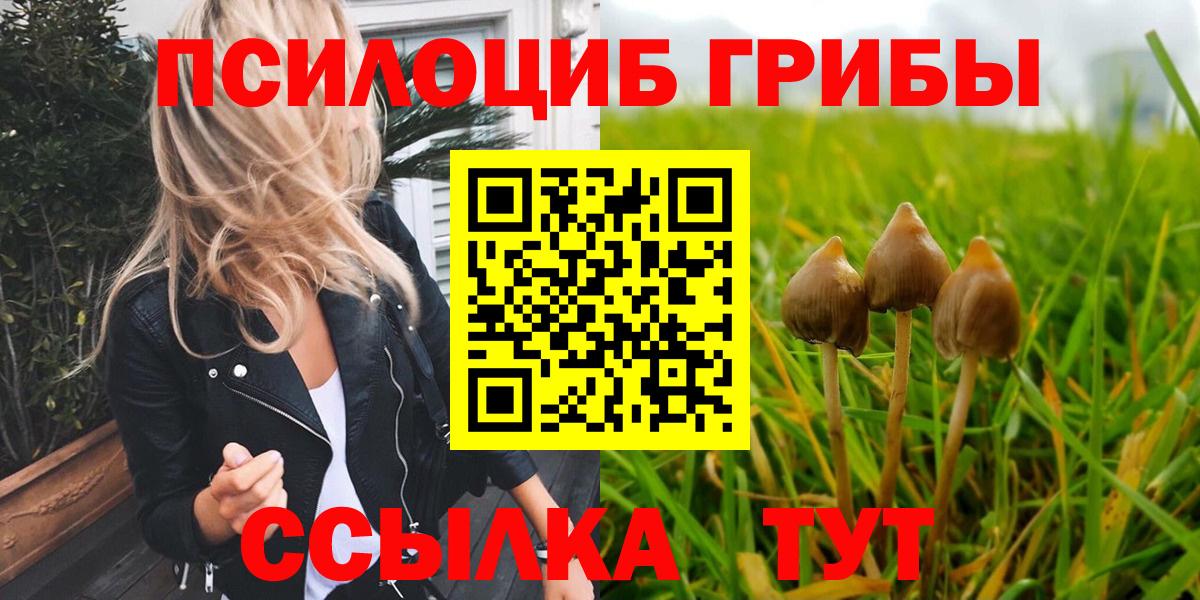 Галлюциногенные грибы Cubensis  Вход с VPN  Выборг 